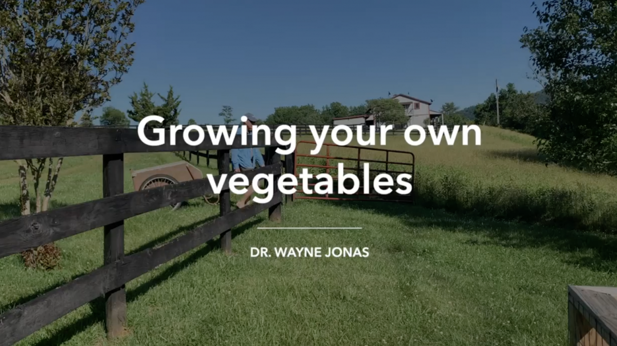 Growing Your Own Vegetables
