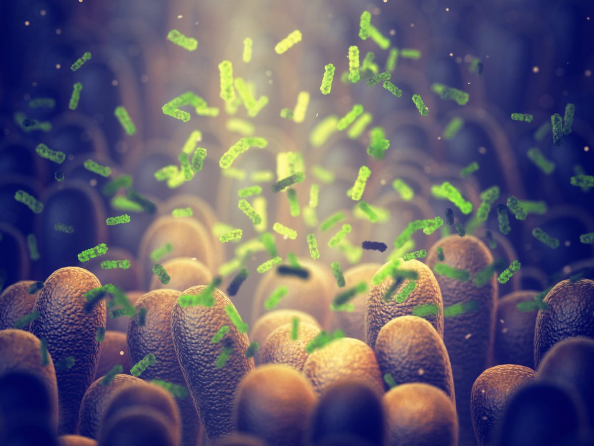 Minding Your Microbiome